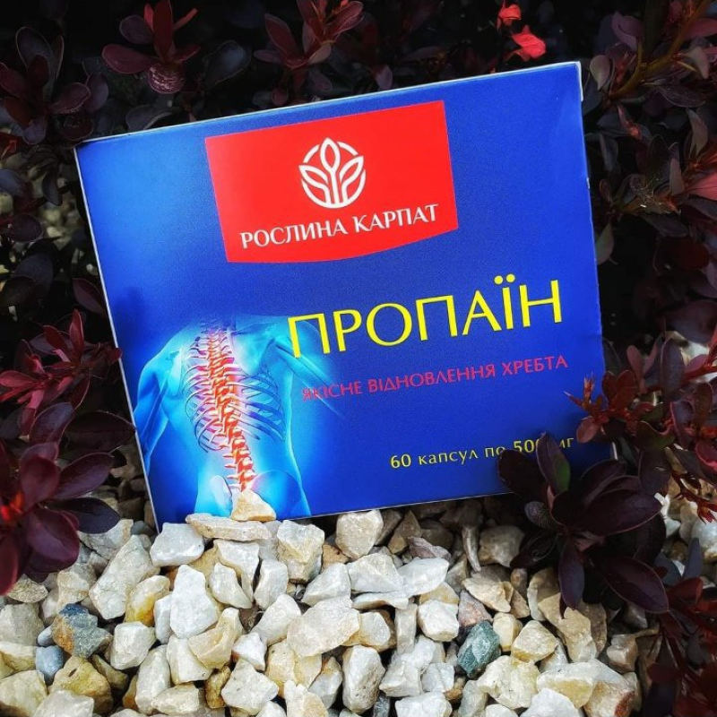 ПРОПАІН КОМПЛЕКС ДЛЯ ВСТАНОВЛЕННЯ РУХНОСТІ СУГЛОБІВ І ПОКРИТА Рослина Карпат 60 кап